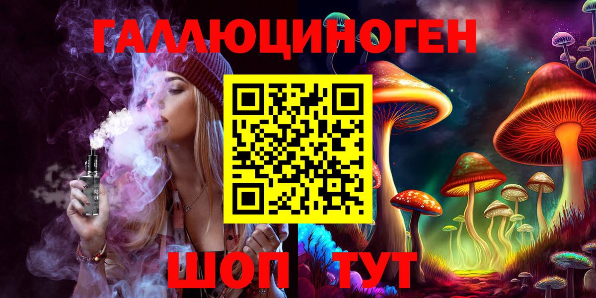 Казань  Псилоцибиновые грибы Psilocybine cubensis  купить   Псилоцибиновые грибы MAGIC MUSHROOMS  Вход с VPN 